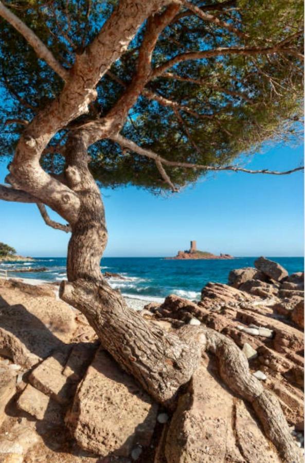 Le Semaphore Saint-Raphaël Kültér fotó
